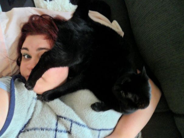 Woke Up To My Cat's Butthole In My Ear. What A Time To Be Alive