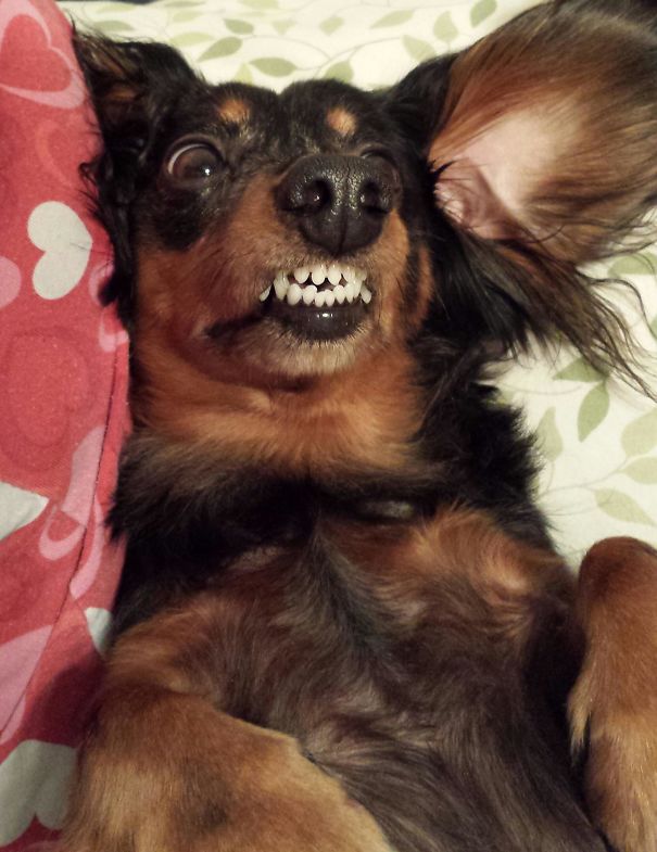 What I Woke Up To This Morning