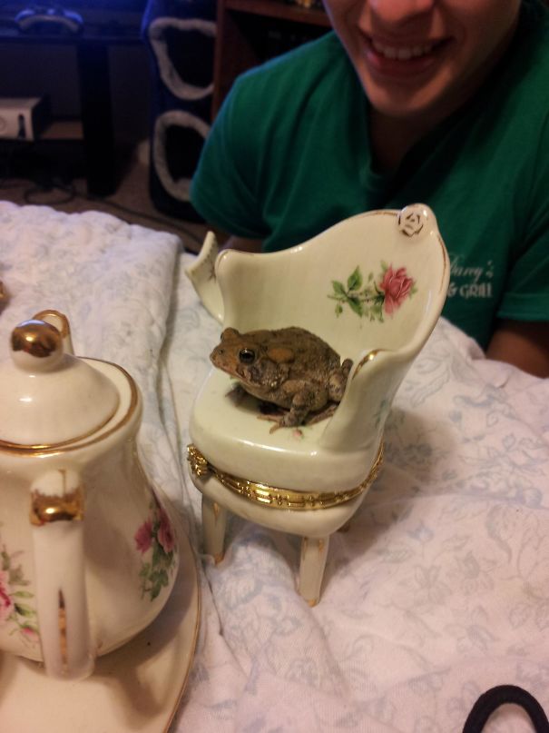 My Roomates Woke Me Up At 3:45 Am By Laughing, I Walked Out To Yell At Them, And Found This