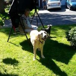 chanel_vigneault-lapointe avatar