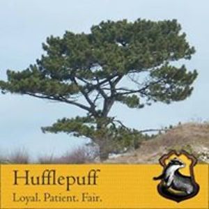 marten_schulz avatar