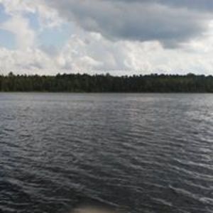 shyrleeputman avatar