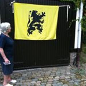 simone_van_der_westerlaken avatar