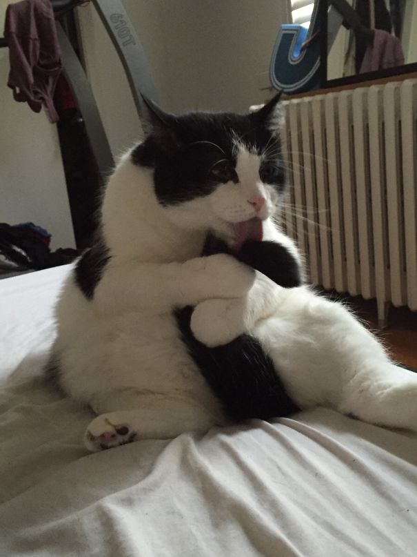 This Is What I Woke Up To Today