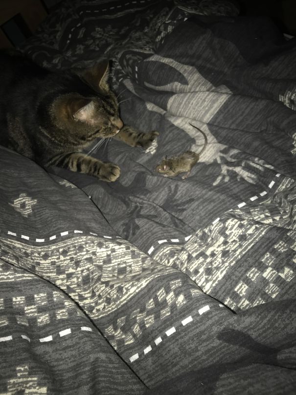 Woke Up To This At 3:46 Am, Thanks Billy