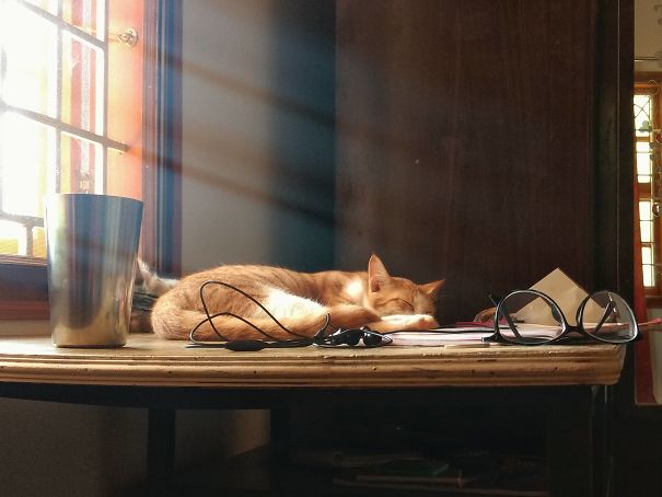 I Woke Up In The Afternoon To This, Just Had To Click A Picture