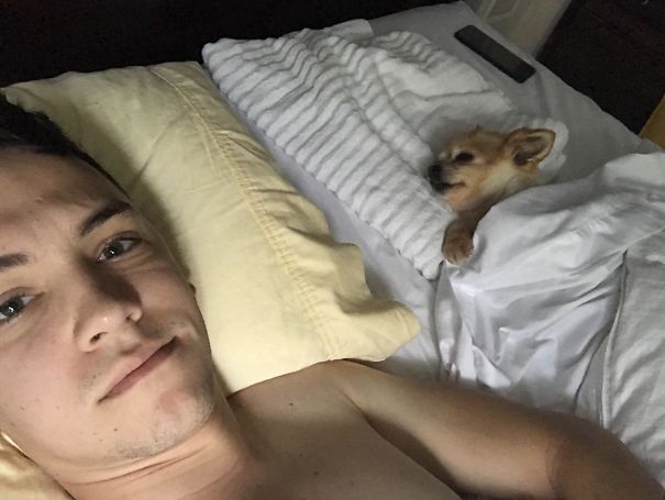 My Girlfriend Woke Up Before Me And Swapped Herself For The Dog. I Was Thoroughly Confused For A Second