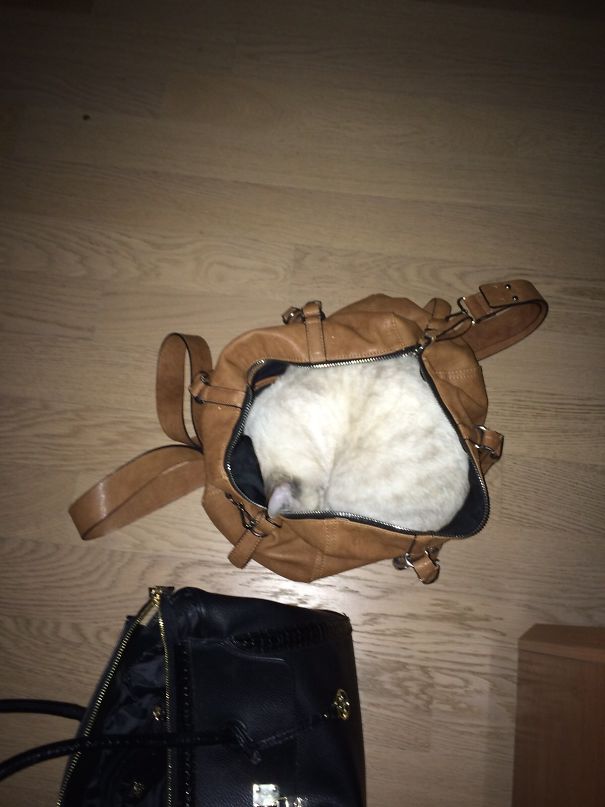 Last Night I Slept At My Girlfriend's House. This Morning I Woke Up To This