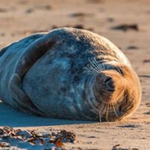 esther_de_lange avatar