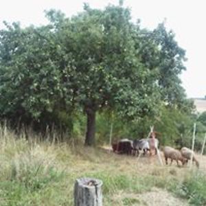 susanne-abels avatar