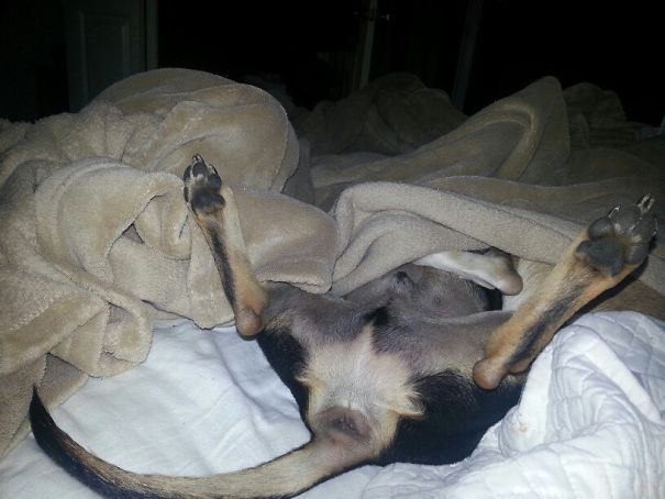 This Is The First Thing I Saw When I Opened My Eyes This Morning