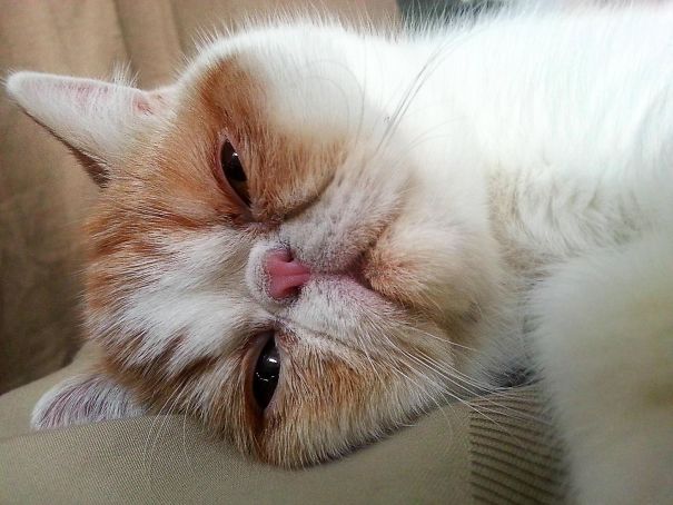 First Thing I Saw This Morning