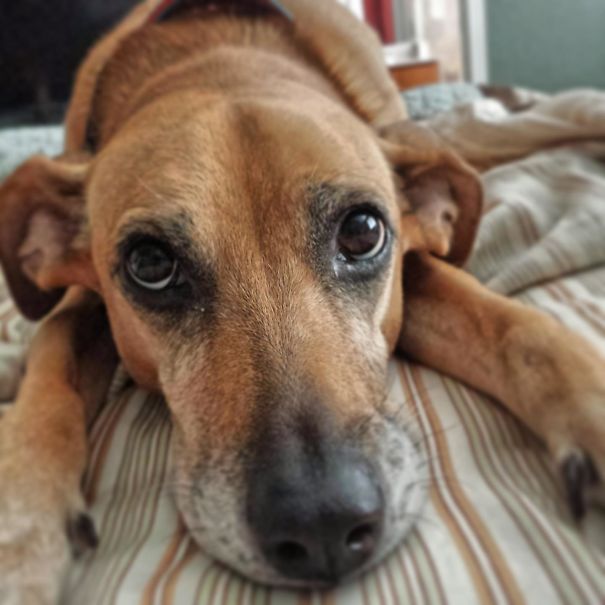 First Thing I See Every Morning