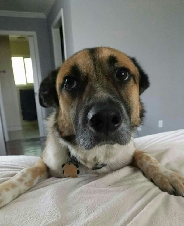 First Thing In The Morning, Every Morning