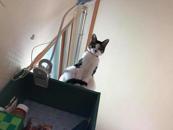 First Thing I Saw Upon Opening My Eyes This Morning