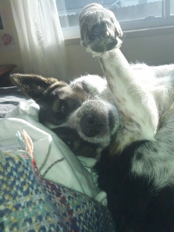 When She Rolls Over First Thing In The Morning