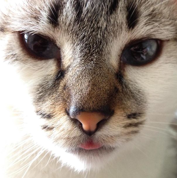 First Thing I See In The Morning