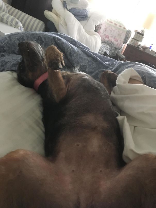 The First Thing I See Each Morning