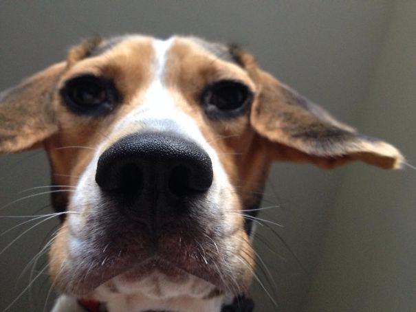 The First Thing I See When I Open My Eyes In The Morning