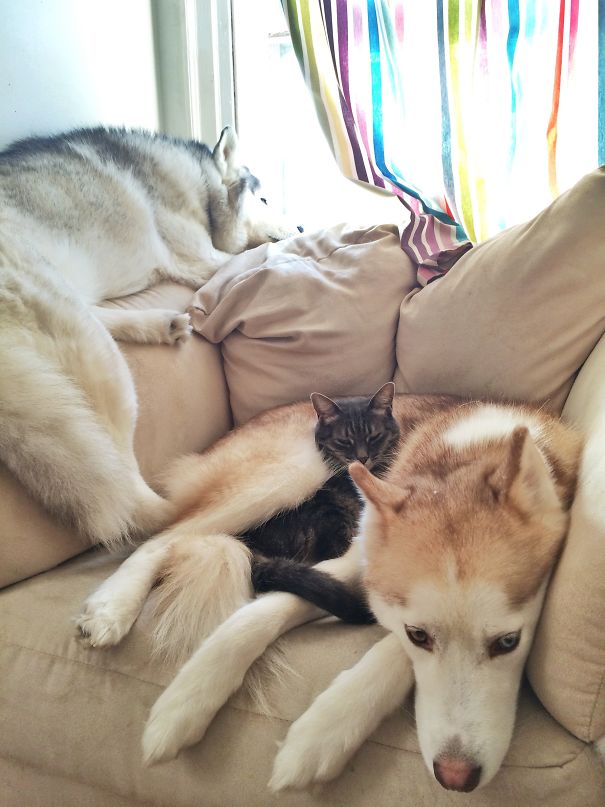 This Is What I Wake Up To Every Morning