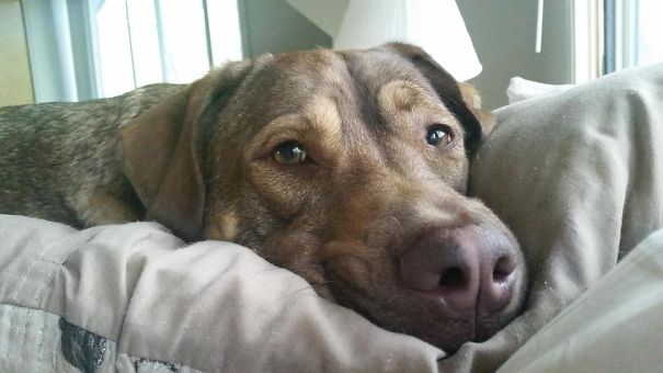 "Hello, I Was Waiting For You To Wake Up Because I Love You"