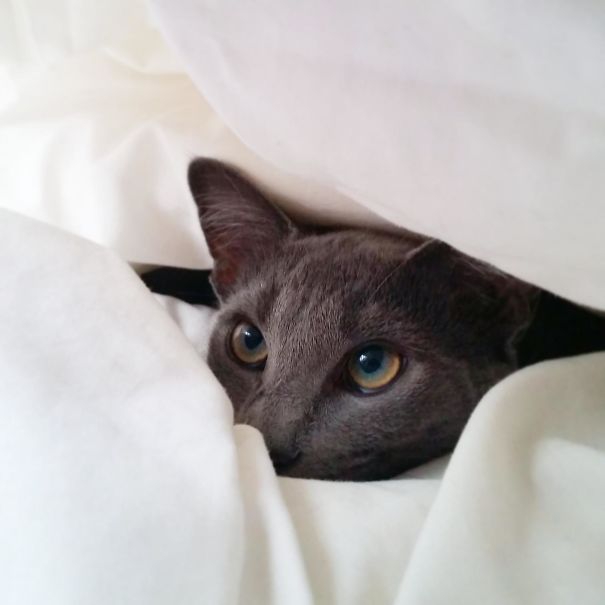 This Is What I Wake Up To Every Morning