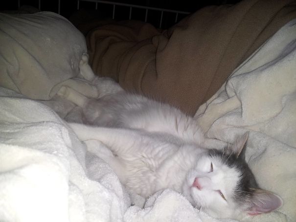 Our First Night As A Married Couple And I Wake Up To This Between Us