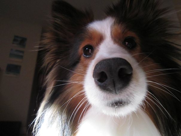 Wake Up Its Time To Play With Me