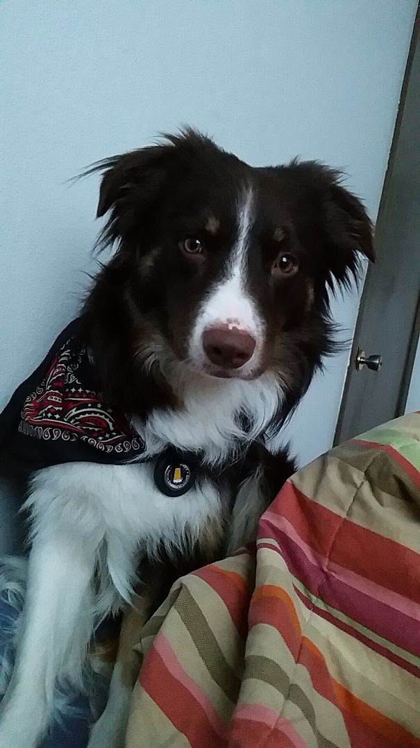 I Wake Up To This Every Morning