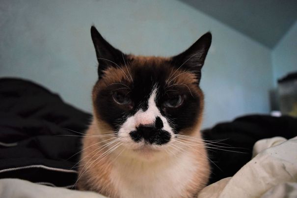 This Is What I Wake Up To Every Day