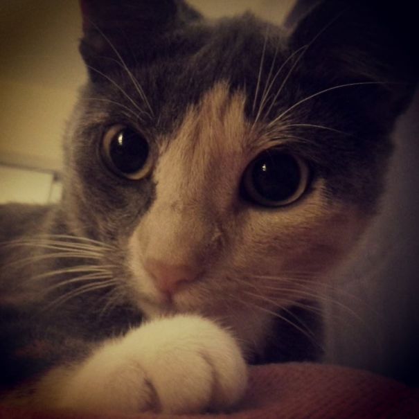 Allergy Shots Let Me Wake Up To This Pretty Little Face Every Morning