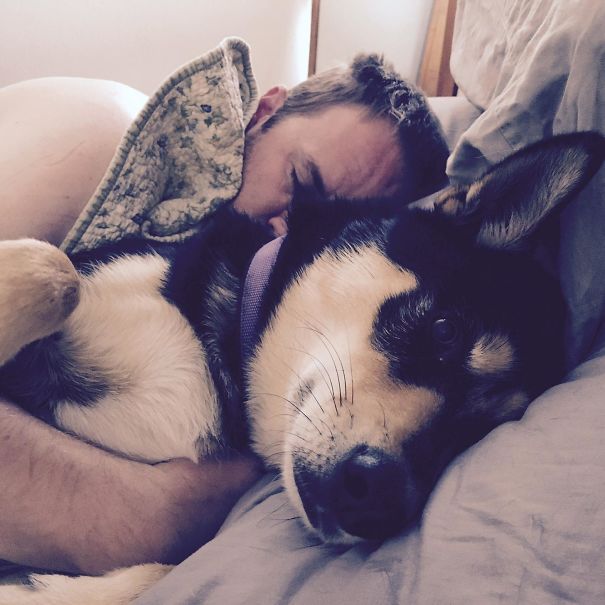 This Is The Boopable Snoot That I Wake Up To In The Mornings