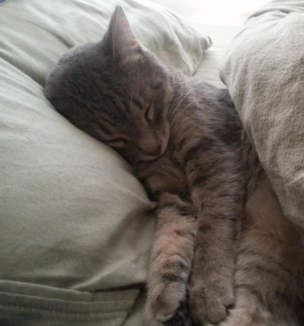 The Best Guy To Wake Up To