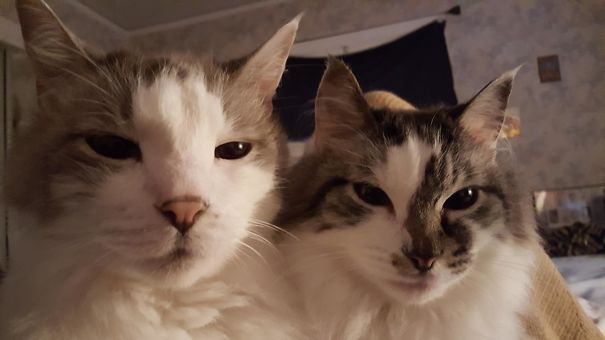 I Wake Up To This Shit Every Day