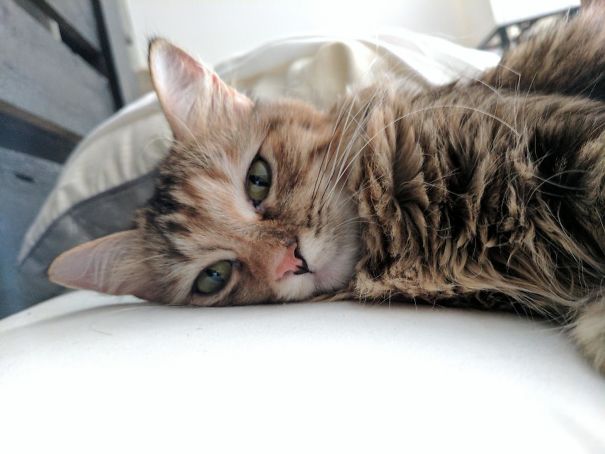 I Get To Wake Up To This Every Morning