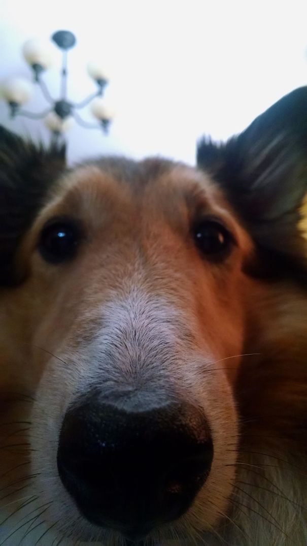 I Wake Up To This Every Morning