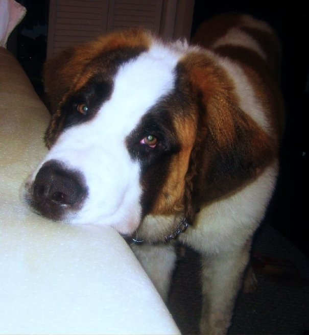 This Is What I Wake Up To Every Morning