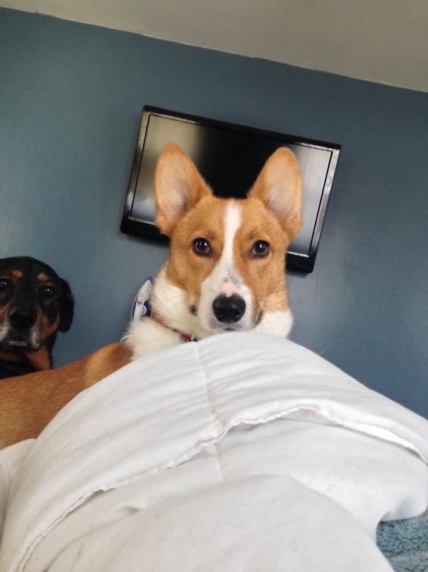 Hey! Wake Up! I Need To Go Back To Sleep Downstairs