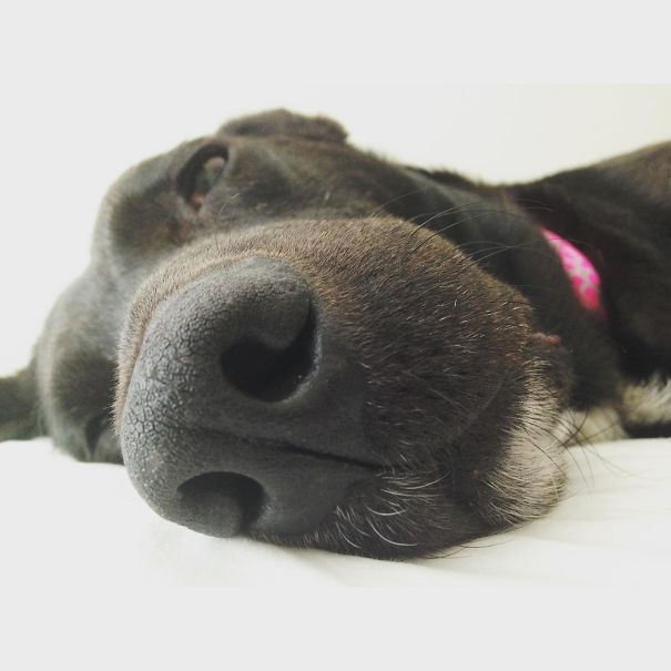 I Wake Up To This Every Morning