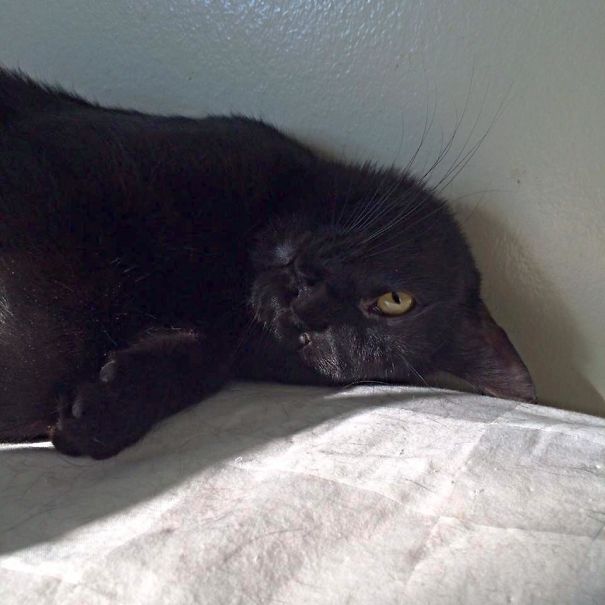 Other Girls Wake Up To Loving Partners, I Get This Idiot