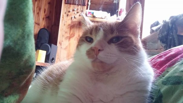 This Is The Annoyed Face I Wake Up To Every Morning