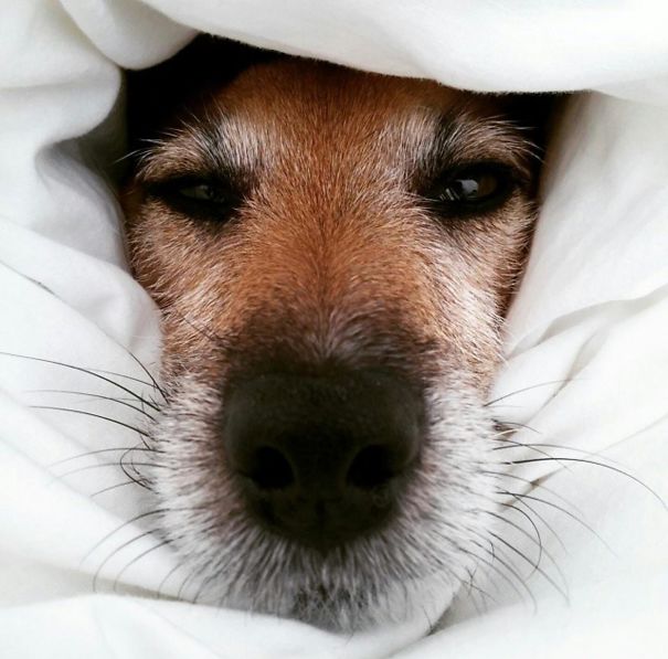 This Is What I Wake Up To Every Morning