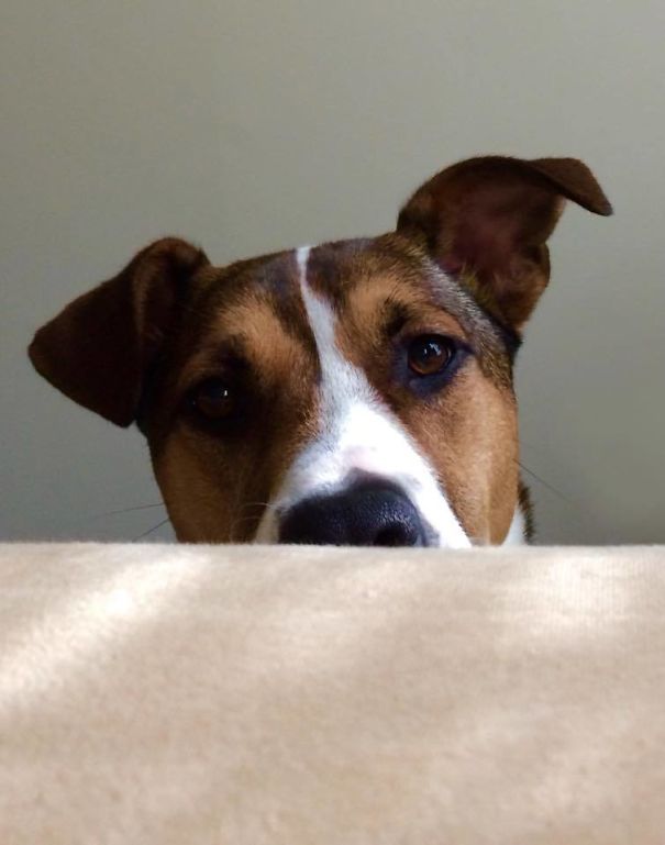 I Wake Up To This Every Morning