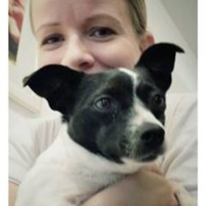 elefanteisbaer avatar