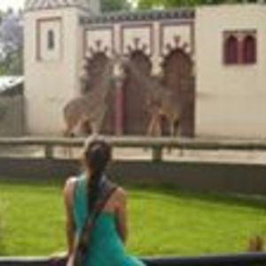 kristel_villalobos avatar