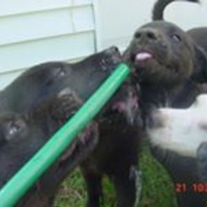 thisiskimsinbox avatar