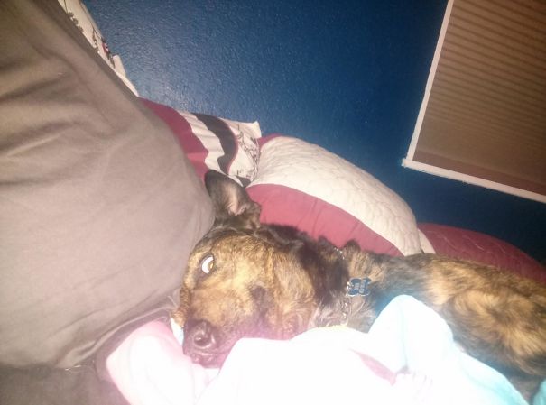 I Woke Up To This The Other Morning. Rolled Over, Opened My Eyes, And I Just Lost It