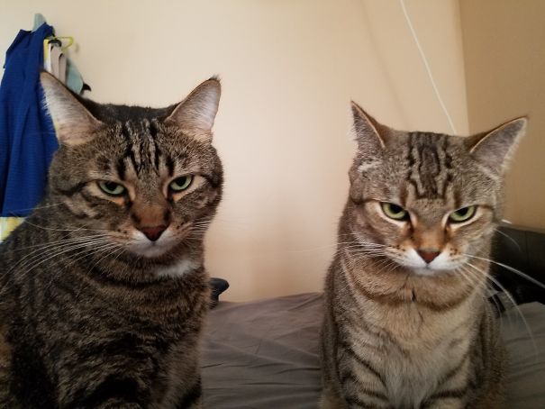 I Woke Up A Bit Late This Morning. I Think It Might Be Time For Breakfast