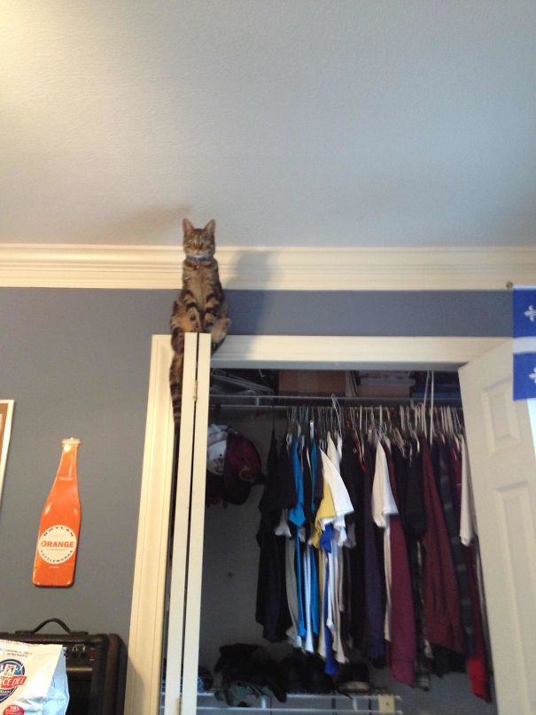 Woke Up To Find My Cat Staring At Me Like This