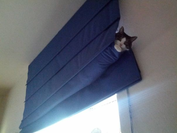 What I Saw When I Woke Up This Morning